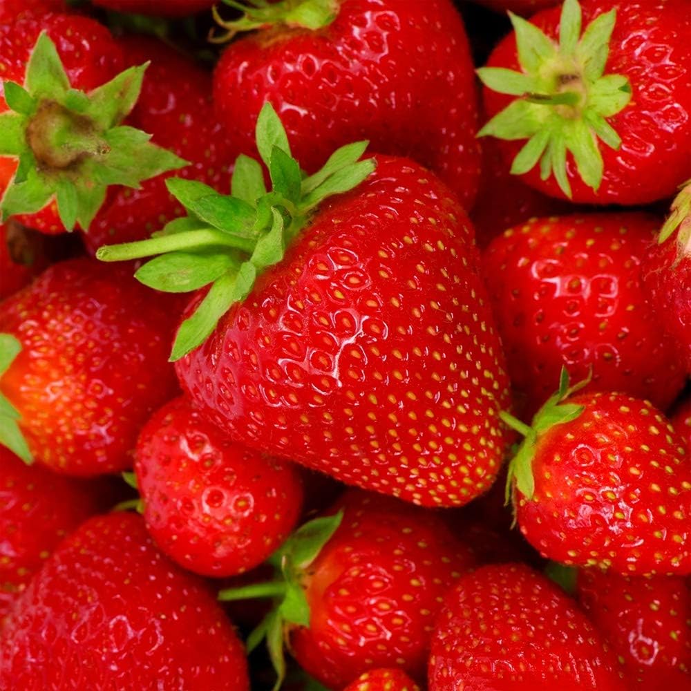 Royal Strawberry Seed • Gardenizi