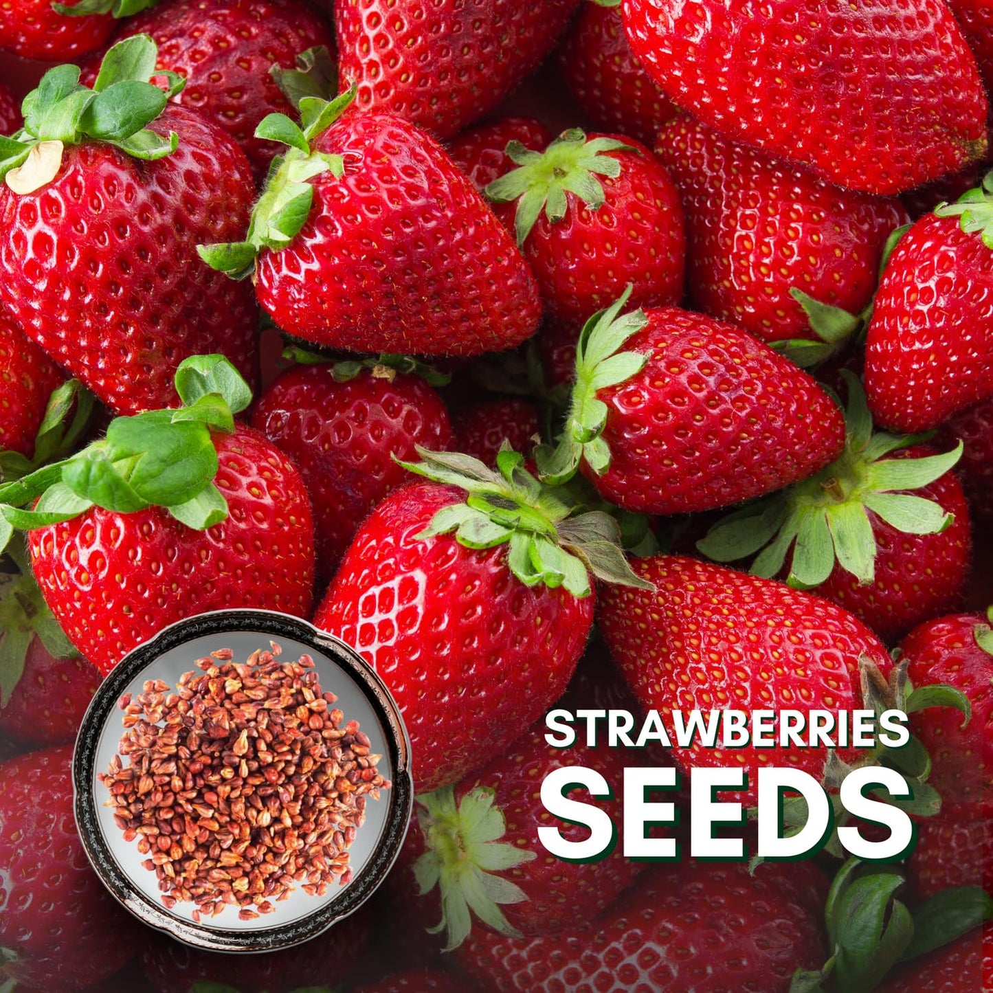 Royal Strawberry Seed • Gardenizi