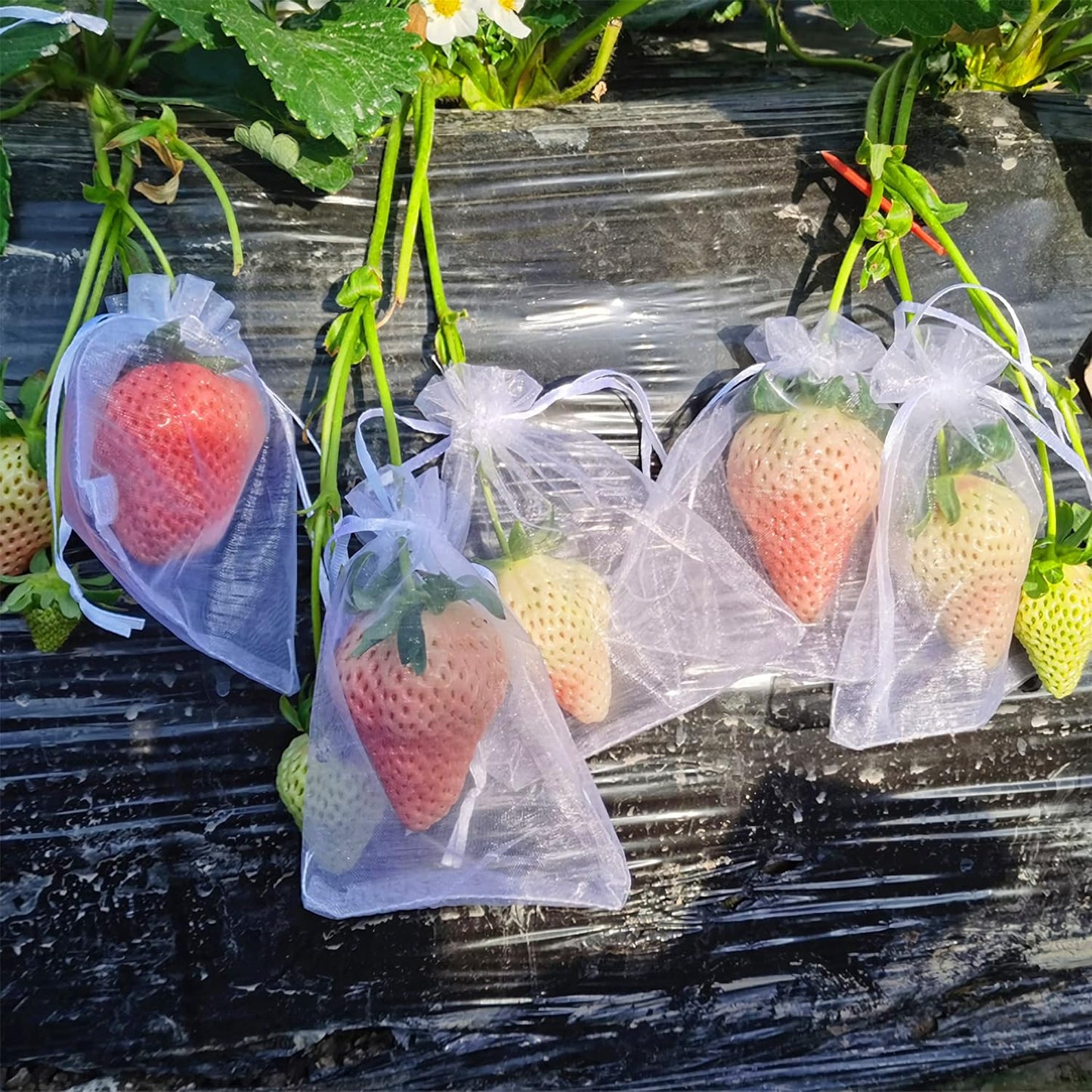 Fruit Netting Bags with Drawstring