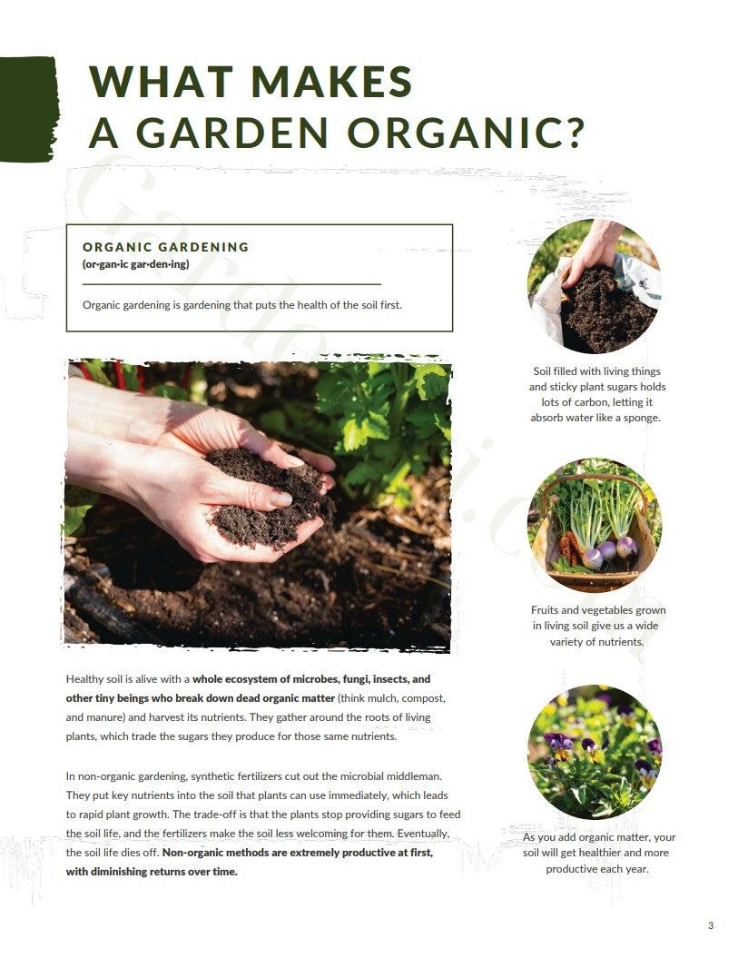 Ebook - First Organic Garden Guide • Gardenizi