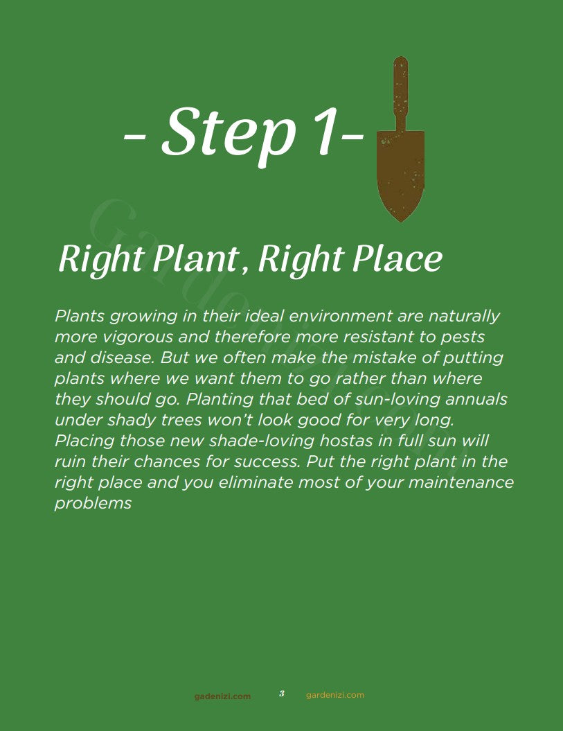 Ebook - 5 Steps To Your Best Garden Ever • Gardenizi
