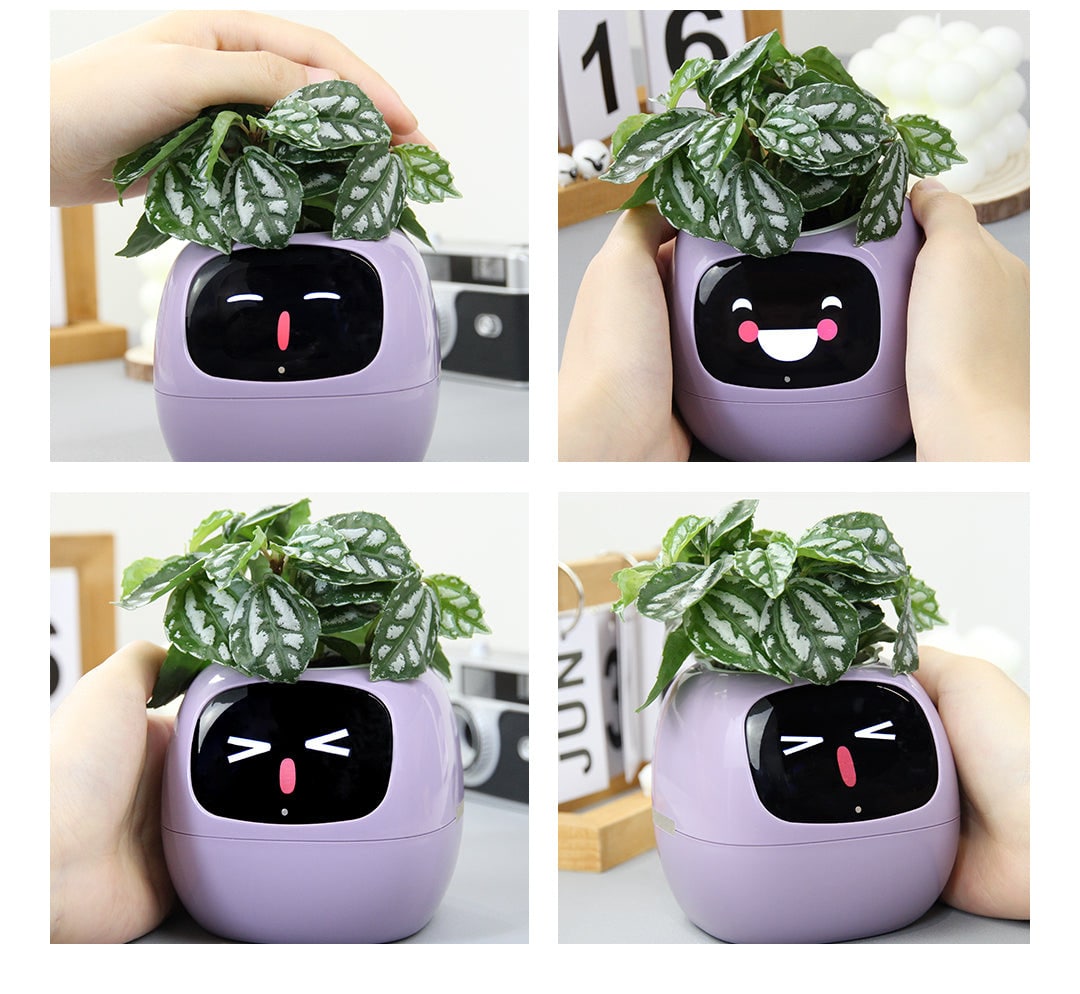 AI Smart Flowerpot | Gardenizi