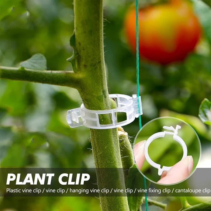 Gardenizi Garden Clips for Plant Support and Grafting product
