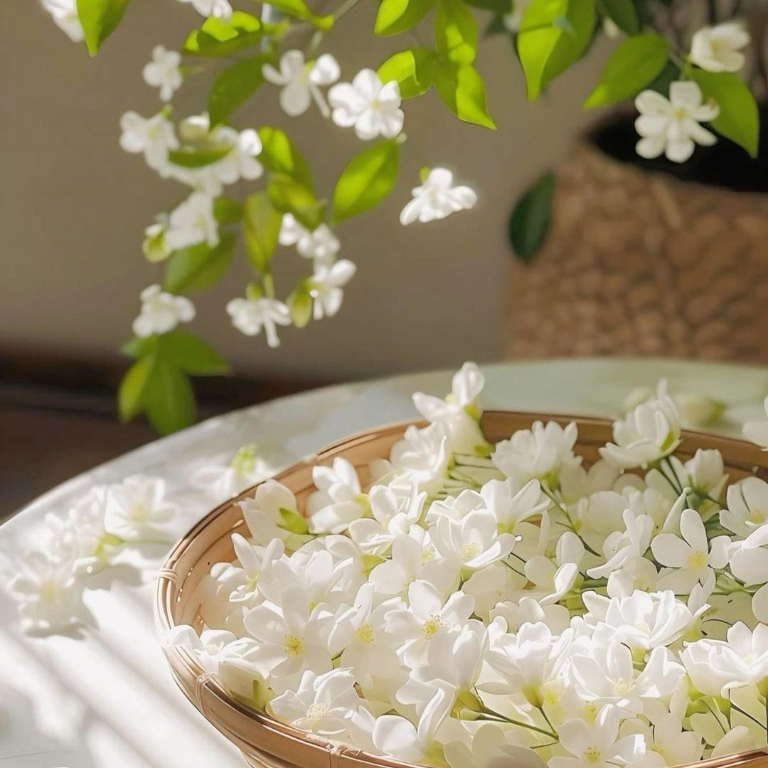 Majestic Jasmine Seeds • Gardenizi