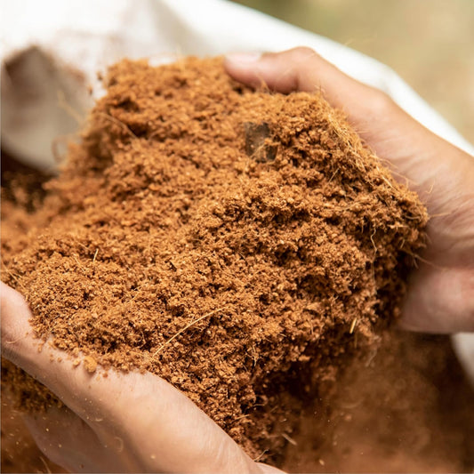 Organic Coconut Coir • Gardenizi