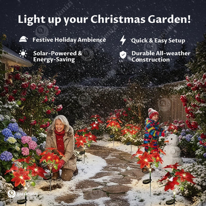 4-pack Poinsettia Solar Garden Lights • Gardenizi