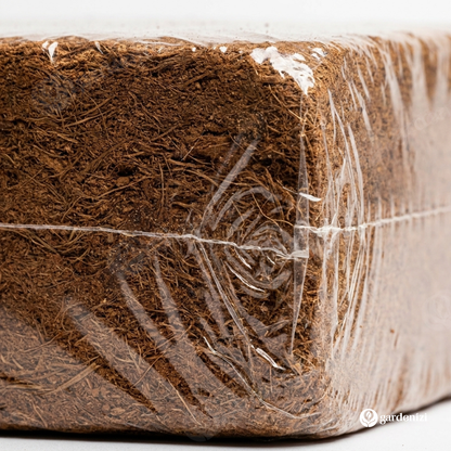Organic Coconut Coir • Gardenizi