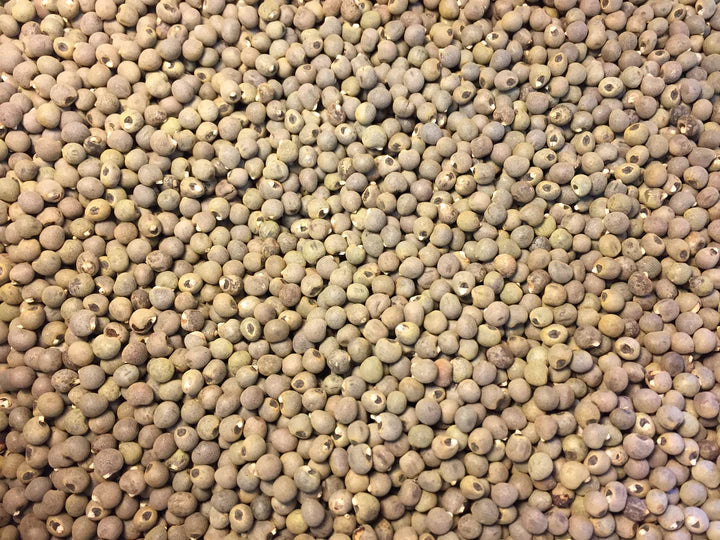 Okra Seeds