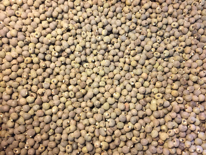 Okra Seeds